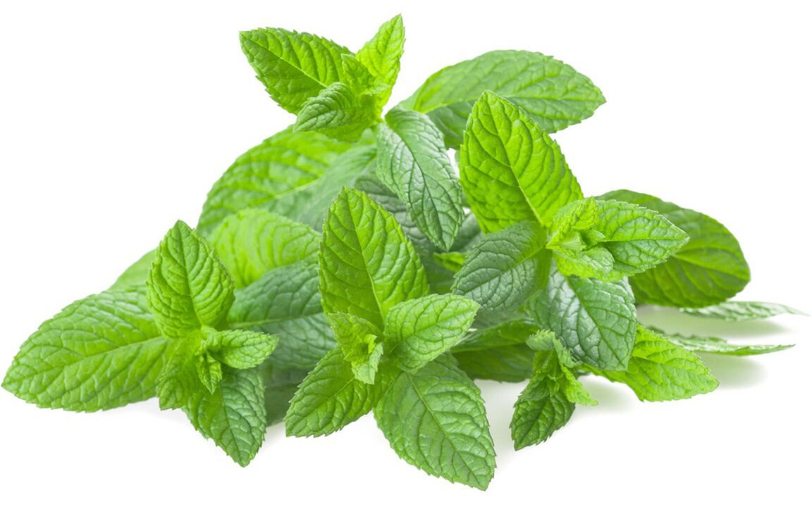 Olio di menta in Hondrolife
